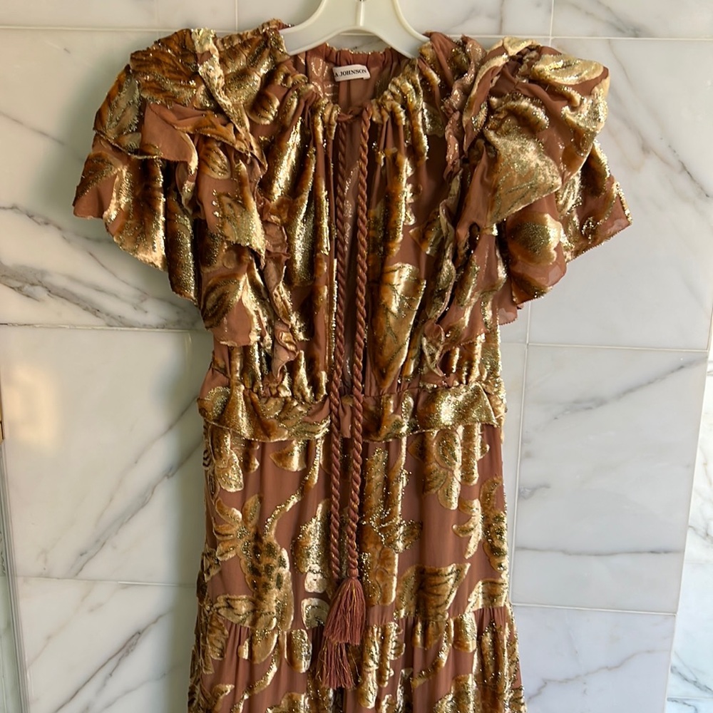 Ulla Johnson spectacular Maxi dress/Gown